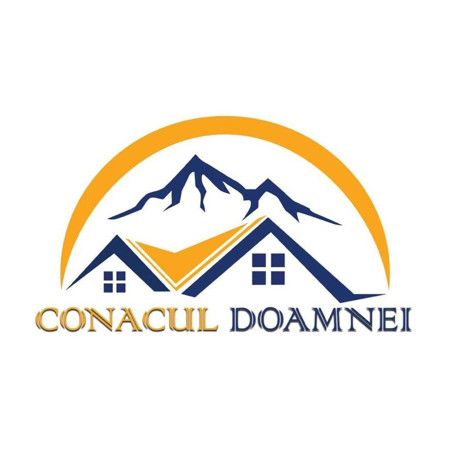 Conacul Doamnei Corbi Exterior photo